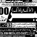 Immediate Hiring Loading and Unloading Labor Jobs in Saudi Arabia 2025 with Attractive Overtime